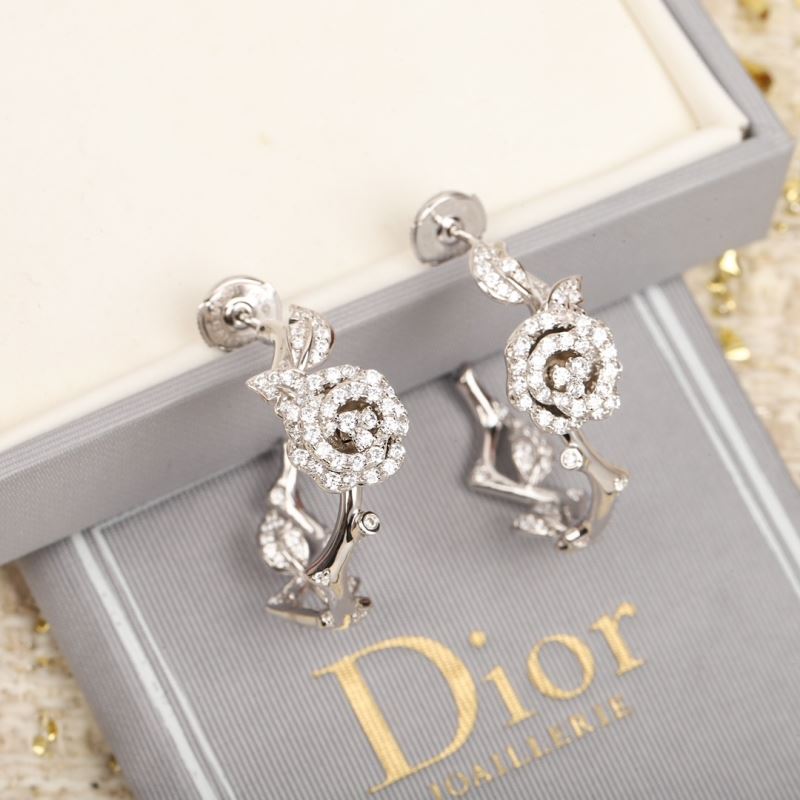 Christian Dior Earrings